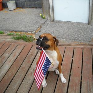 Meet your Posher, Carol